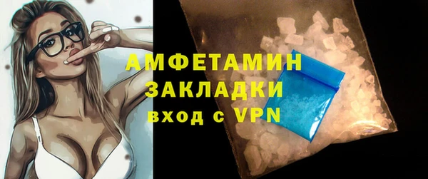 шишки Абаза