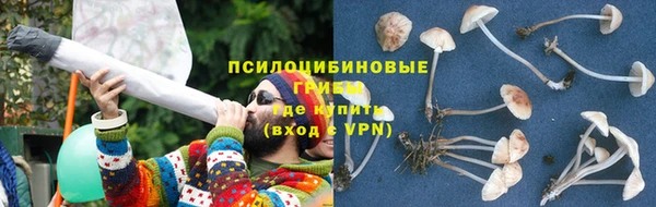 spice Алексин