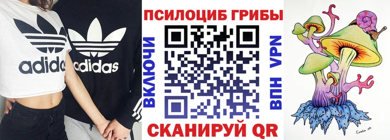 даркнет сайт  Александровск  гидра рабочий сайт  Галлюциногенные грибы ЛСД 